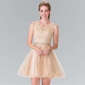 Elizabeth K Lace Illusion Top A-Line Tulle Short Dress Size Small